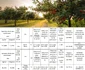 Anunțuri licitație cu strigare pentru concesionare terenuri agricole Sursă ADS colaj jpg