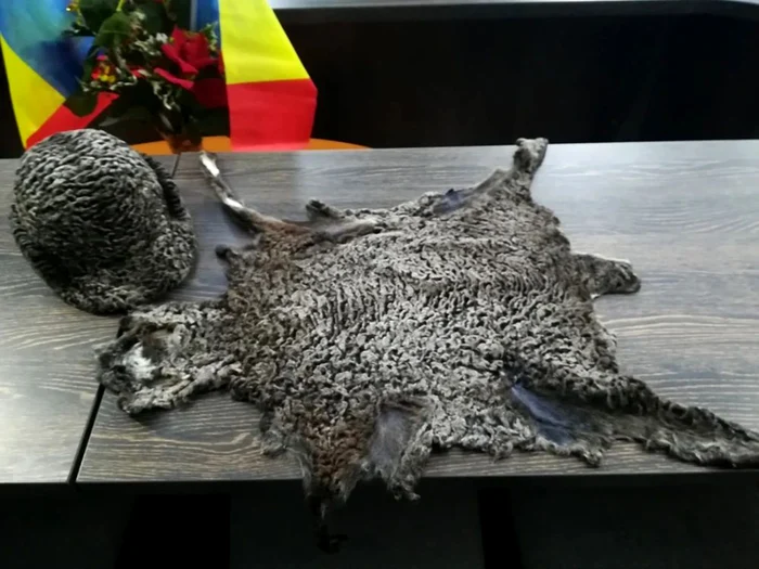Pielicelele ei sunt unice în lume