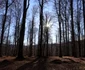 Sarmizegetusa Regia, solstitiu de iarnă Foto Daniel Guță ADEVĂRUL (16) JPG