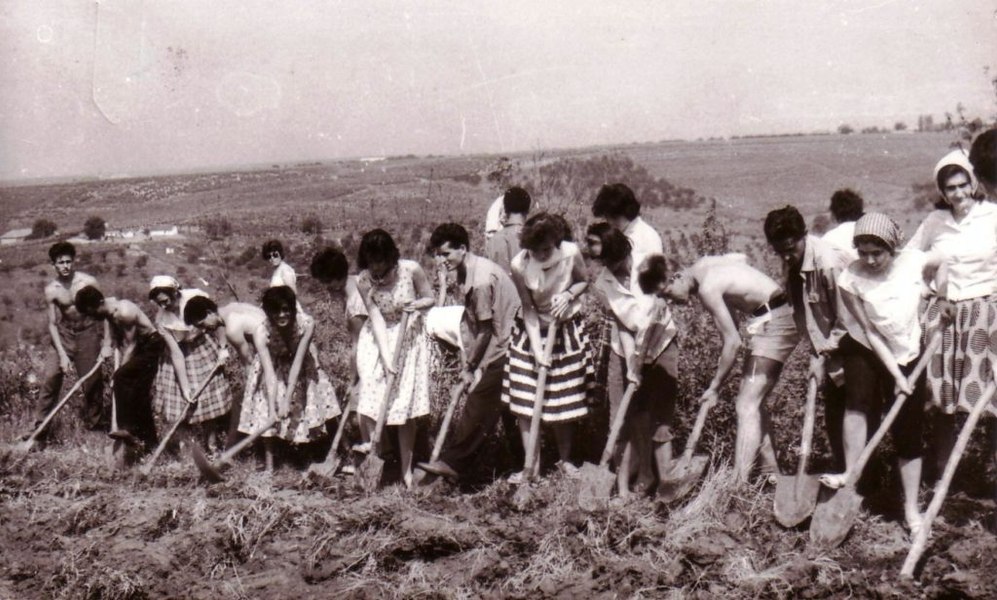 Care era considerat cel mai puternic județ agricol din țară în comunism. Raportările oficiale, analizate de un istoric