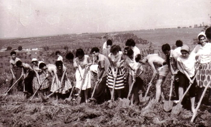 Județul Arad era unul agricol FOTO Andrei Ando
