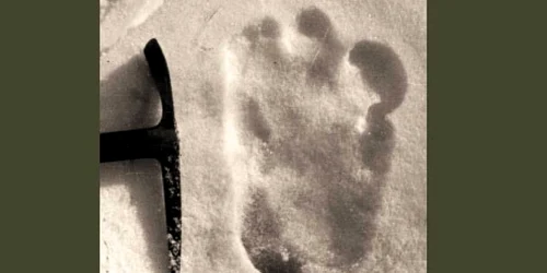 Urma unui Yeti fotografiată în 1951 în urma unei expediţii în Tibet Foto: Guliver