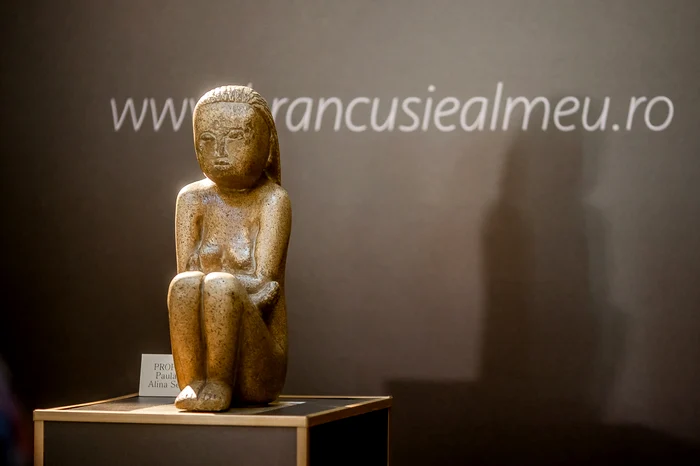 
    „Cumințenia Pământului”, după o telenovelă ce durează de peste 3 ani, încă nu a fost cumpărată de statul român de la prroprietarii eiFoto: Inquam photos  