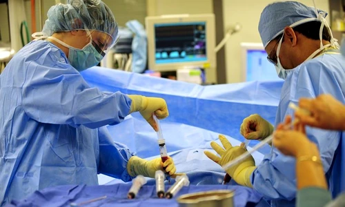 1 85275 original jpg jpeg