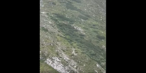 ninge in muntii rodnei foto captura video png