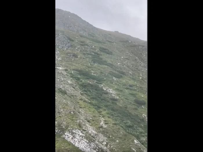 FOTO: Captură video
