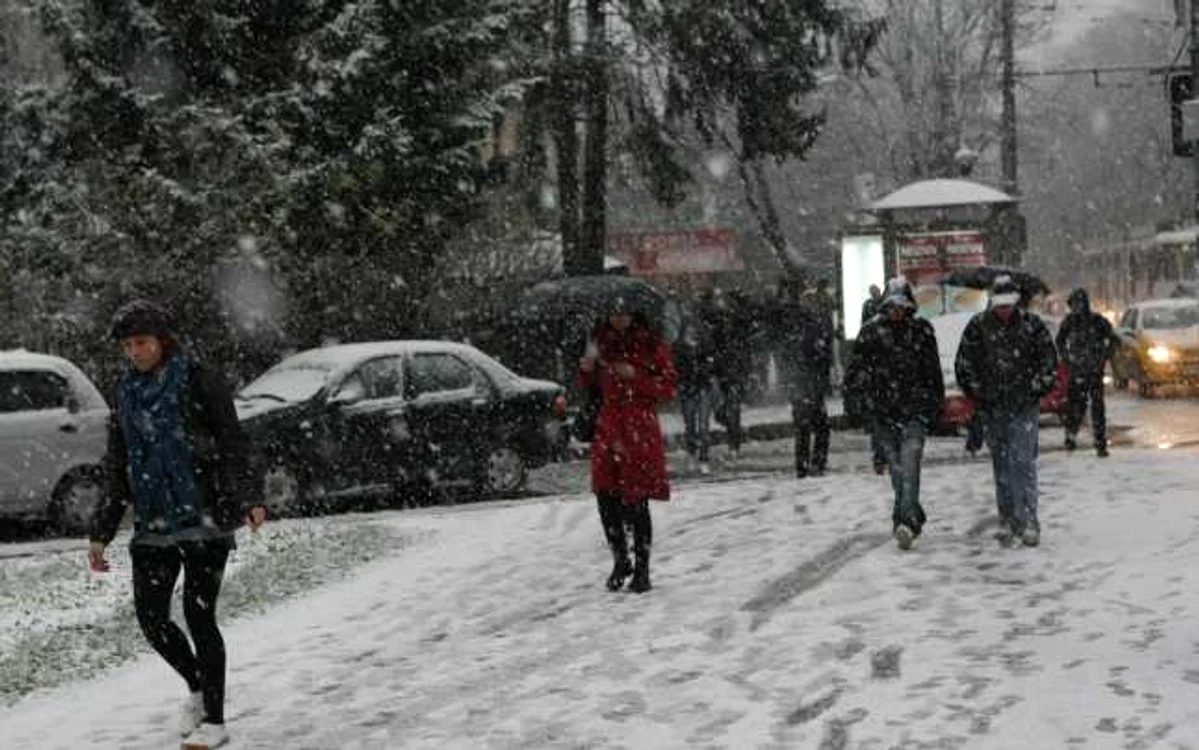 Bulevardul a fost plin de curioşi