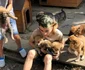 Costi Țitirigă orfanul din Vâlcea poreclit salvatorul animalelor Foto Arhiva personală jpg