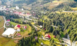 arieseni alba