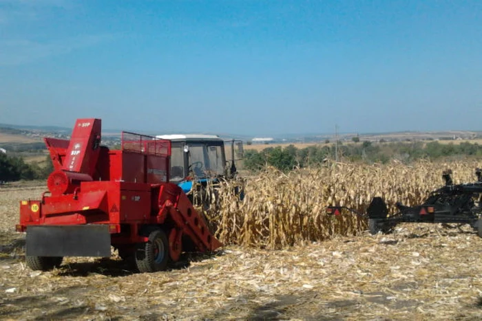 Kazahstanul este cel mai mare producător de grâne din Asia Centrală