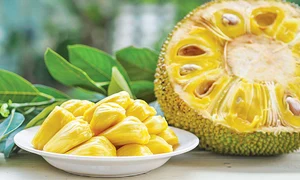 f212 shutterstock 111655375 jpeg