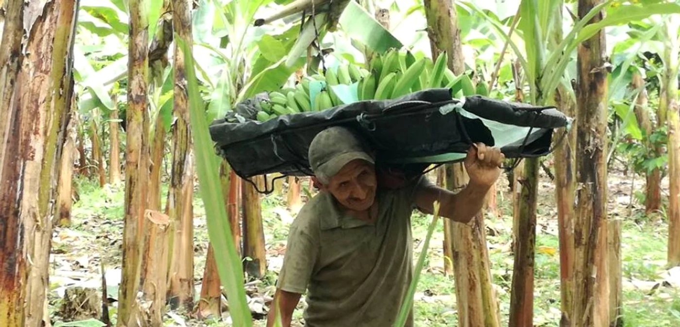 Muncitori pe plantaţiile de banane din Ecuador FOTO Arhivă personală Anca Gheorghică