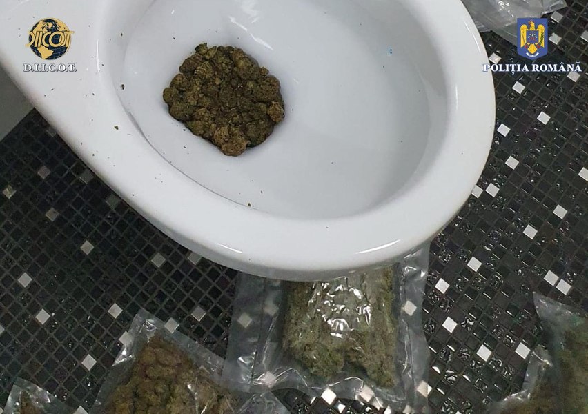 Descinderi DIICOT la Iaşi. Traficanţii au vrut să arunce drogurile în WC şi 130.000 de euro pe geam VIDEO