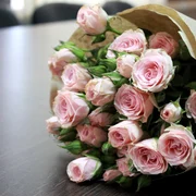 trandafiri pixabay jpg