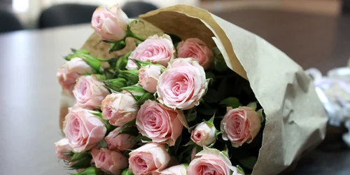 trandafiri pixabay jpg