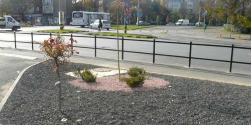 Spațiu verde amenajat de companii private