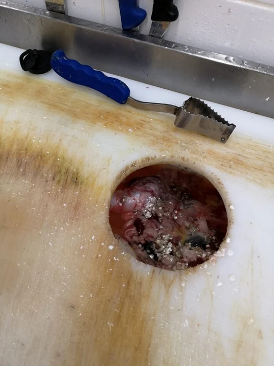 Inspectorii au constatat nereguli în zona în care era prelucrată carnea