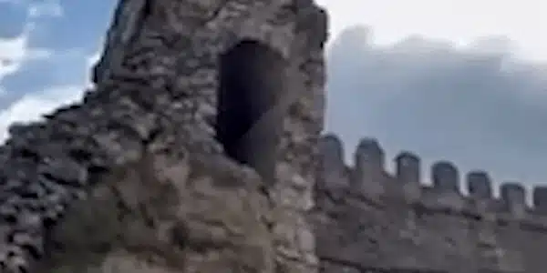 Zid gif