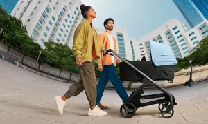 carucior Bugaboo Dragonfly jpg