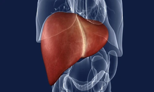 dietă ficat gras jpeg