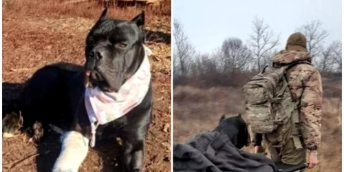 Blank 2 Grids Collage(5) png