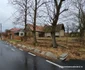 Satul Holdea din Hunedoara Foto Daniel Guță ADEVĂRUL (10) jpg