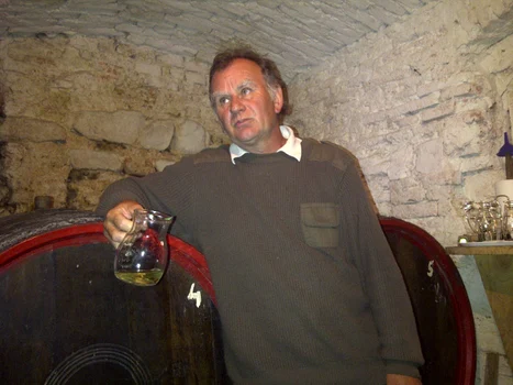 vin aiud