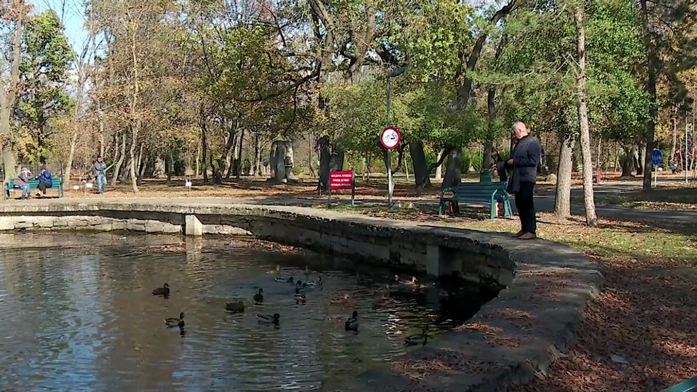 Păsările din parcurile Buzăului, hrănite cu colivă și fructe stricate. Avertismentul ornitologilor VIDEO