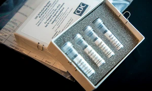 Cum imiți competența? jpeg