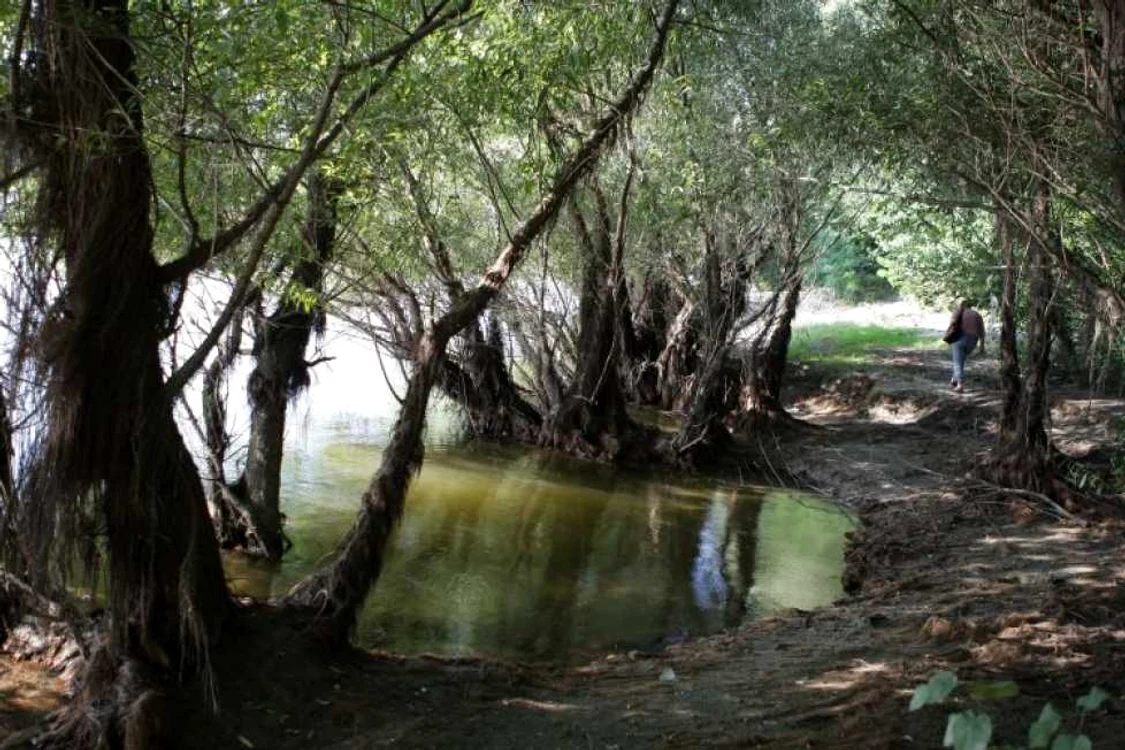 Insula Păcuiul lui Soare, de lângă Ostrov