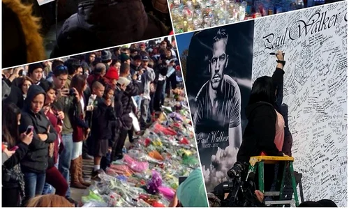 1450759 703629569671310 1268641196 n jpeg