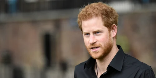 1 printul harry jpg jpeg