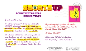 Marele Picninc ShortsUP: Grădina Botanică devine insulă de evadare jpeg