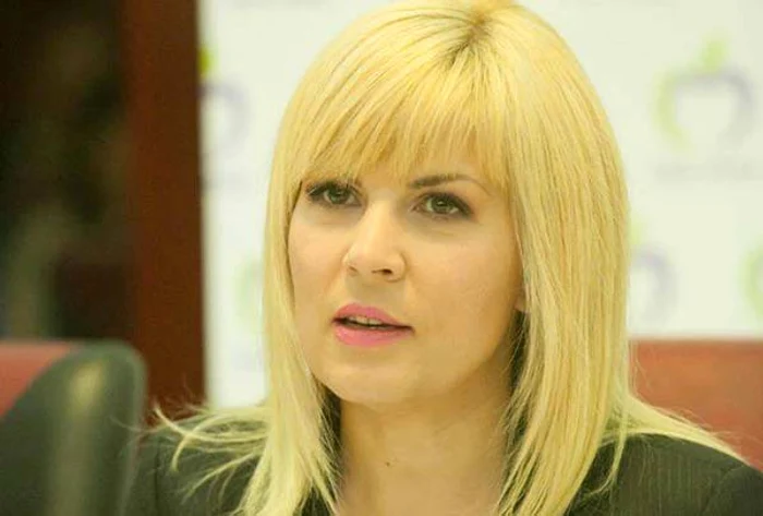 
    Sorin Oprescu, arestat. Elena Udrea a comentat reţinerea fostului edil al Capitalei FOTO: Arhiva personală  