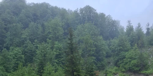 operatiune salvare muncitori suprinsi viitura vrancea