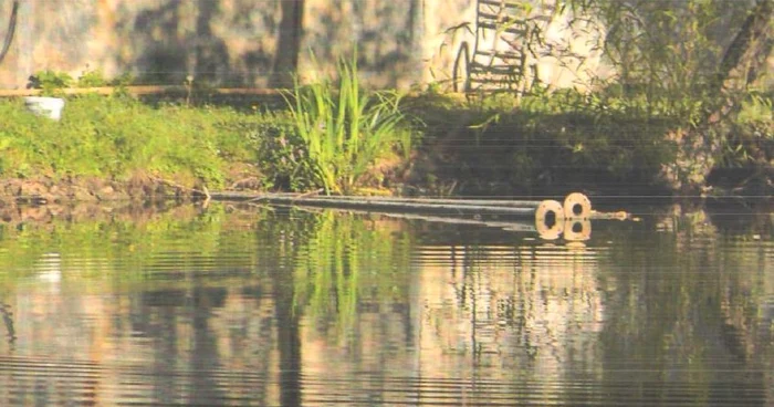 Lacul Corbeanca