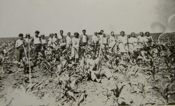 Țărani la munca câmpului FOTO profimedia