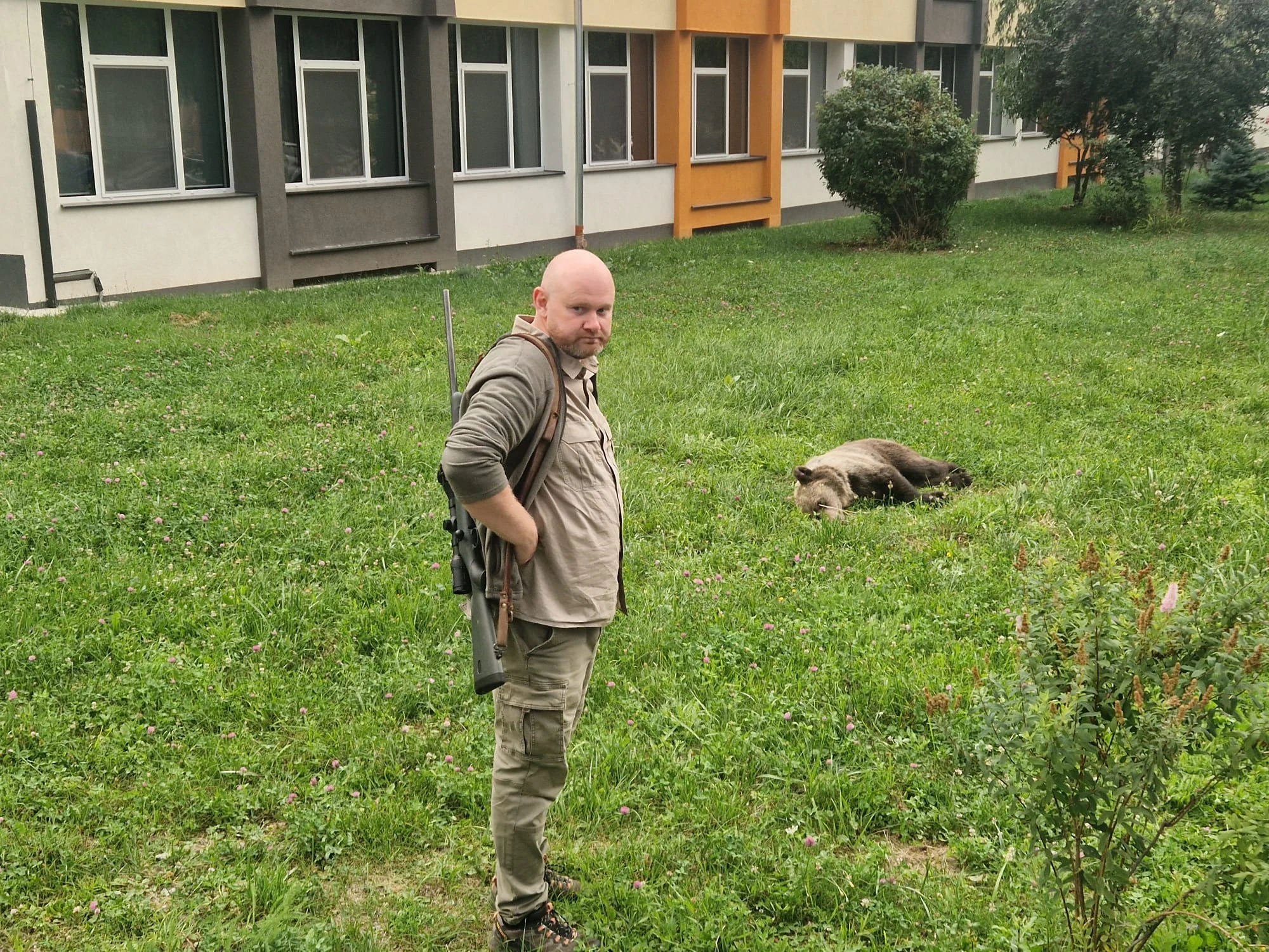 Alertă la un liceu din Sibiu. Un urs a pătruns în curte și a fost tranchilizat după o intervenție dificilă