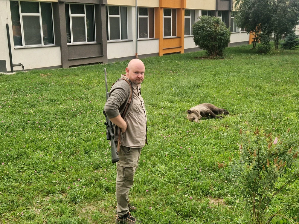 După tranchilizare, ursul a rămas sub supravegherea jandarmilor. FOTO: Turnul Sfatului  