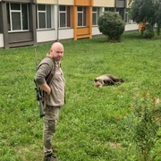 urs tranchilizat in sibiu foto turnul sfatului jpeg