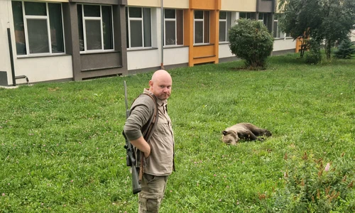 urs tranchilizat in sibiu foto turnul sfatului jpeg