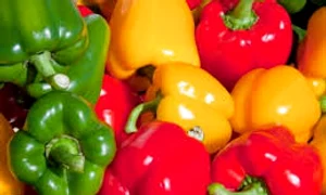 ardeii grasi feminis ro  jpeg