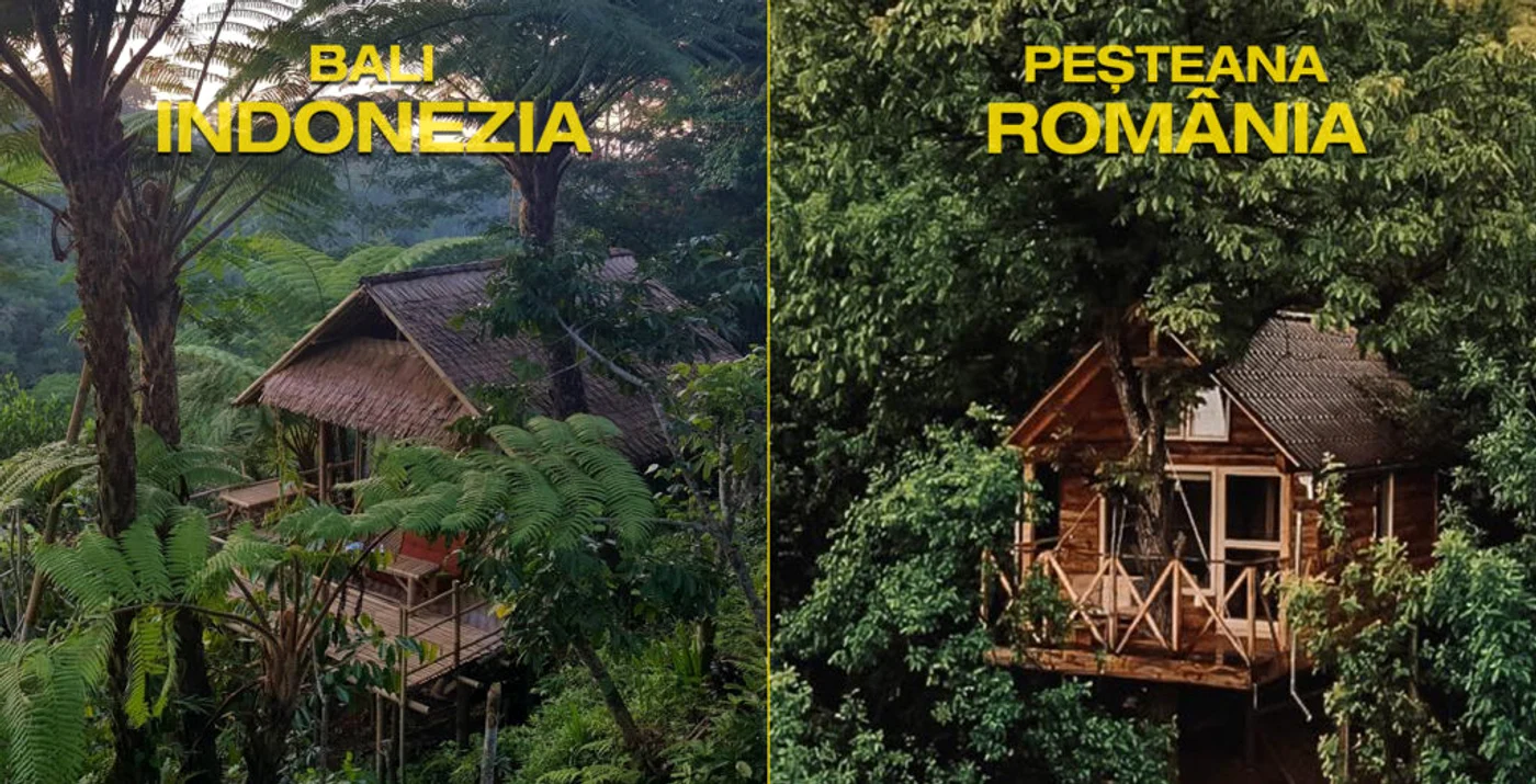 Doar vegetația este puțin diferită