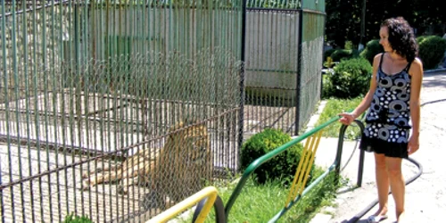 Reşiţa: Casă nouă pentru animalele de la Zoo