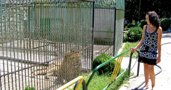 Reşiţa: Casă nouă pentru animalele de la Zoo