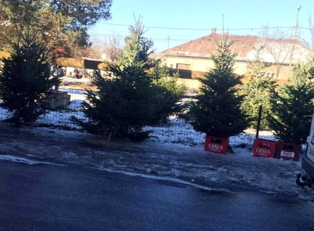 Primăria Bistriţa a fost amendată cu 5.000 de oamenii legii FOTO: Inspectoratul de Jandarmi Judeţean Bistriţa-Năsăud