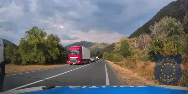 GIF Spike