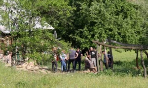 crima din alunis jpeg