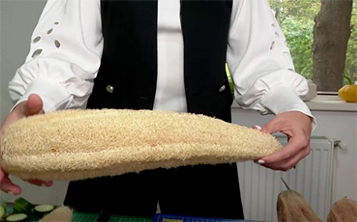 Luffa este originară din Asia