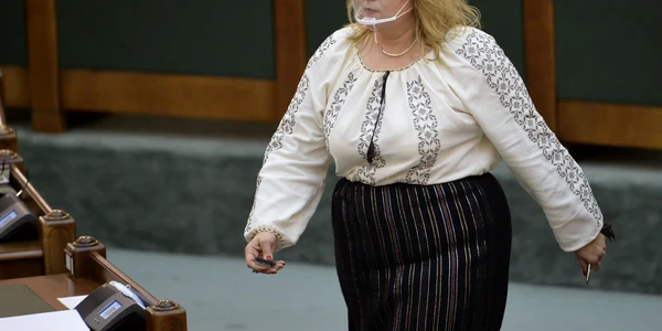 diana sosoaca jpeg